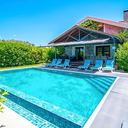 Stonehouse-1 داليان